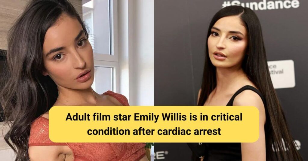 Adult Film Star Emily Willis Is In Critical Condition